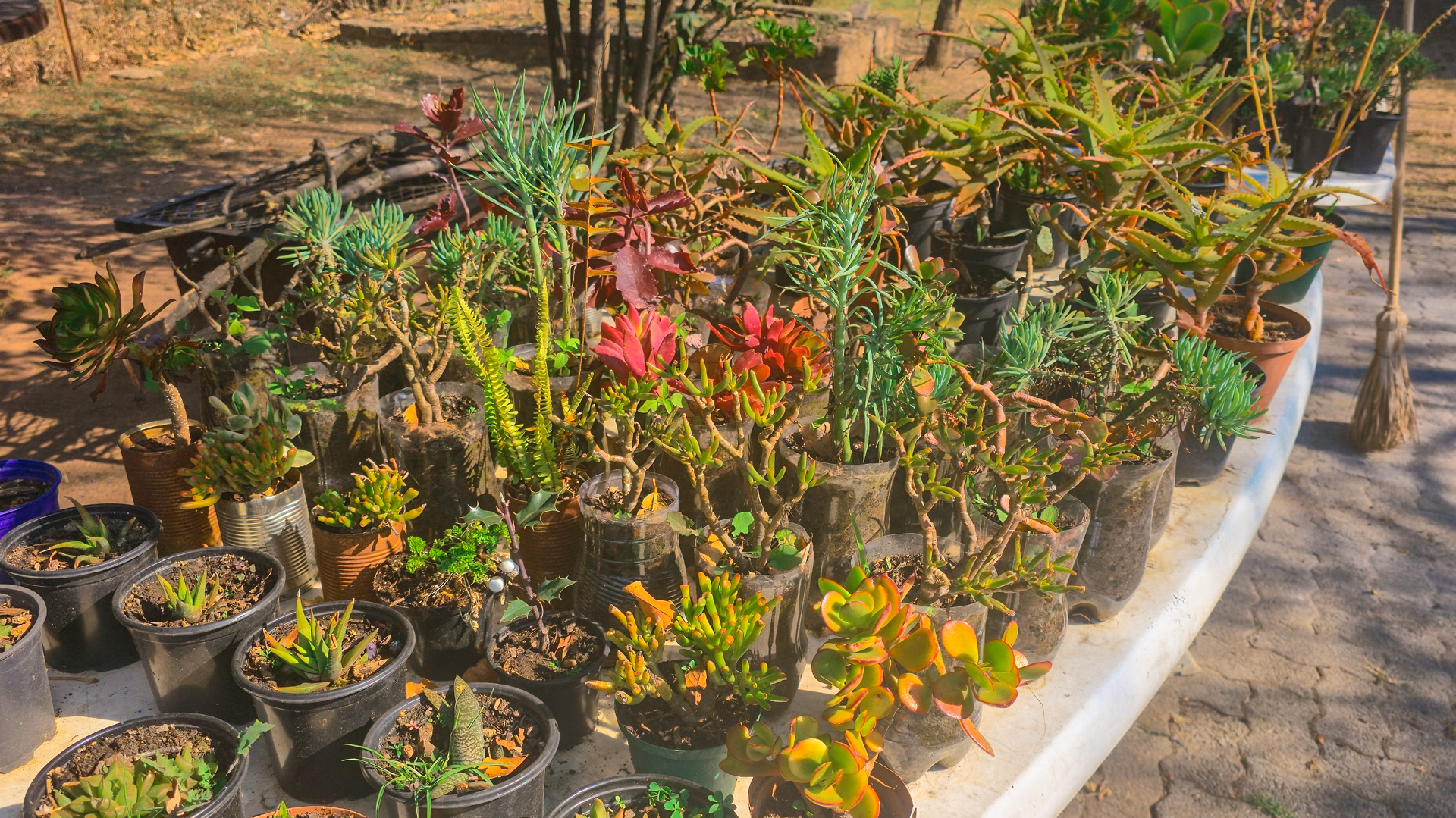 aim image_0000s_0000_Layer 26